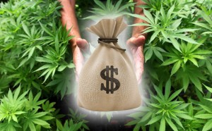 GreenWay-Illinois-Huge-Revenue-on-Marijuana-Sale-In-Illinois