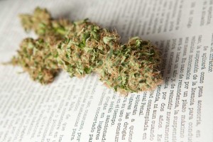 GreenWay Illinois PTSD as Medical Marijuana Condition Tries Again